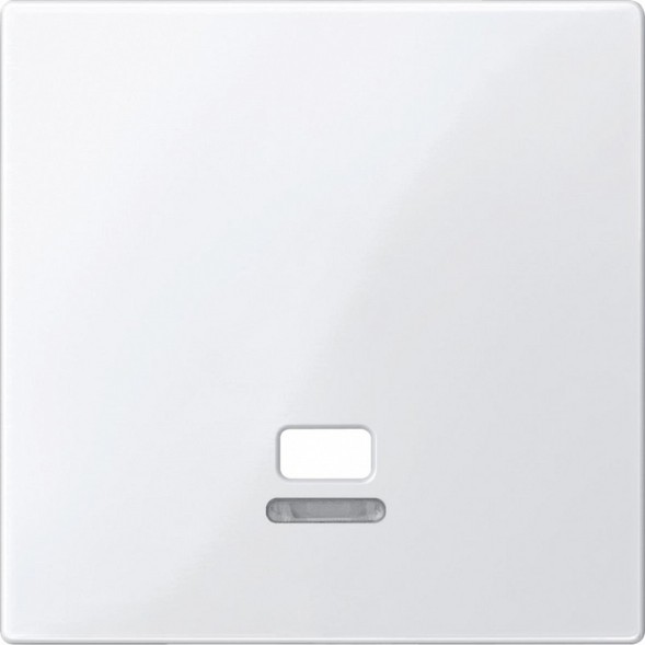 Центральная плата Merten M-серия активный белый с ок.для свет.инд.для выключателясо шн. MTN3380-0325