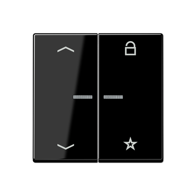 Центральная плата Jung A серия черная универсальная «стрелки» для LB вставки «жалюзи» A1701BFPSW