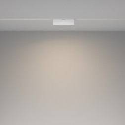 Трековый светильник Technical TR036-2-12W4K-W