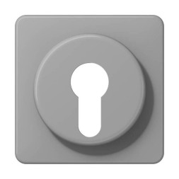 Крышка Jung CD серия серая для выключателя с замком CD528GR