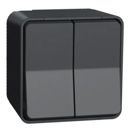 Двухклавишный переключатель Schneider Electric Mureva IP55 накладной монтаж Антрацит MUR35022