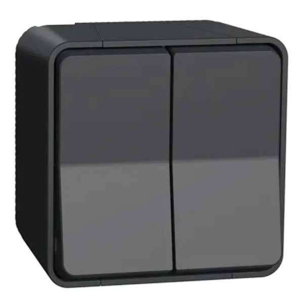 Двухклавишный переключатель Schneider Electric Mureva IP55 накладной монтаж Антрацит MUR35022