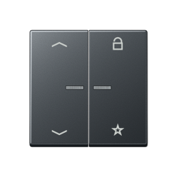 Центральная плата Jung A серия матовый антрацит универсальная «стрелки» для LB вставки «жалюзи» A1701BFPANM