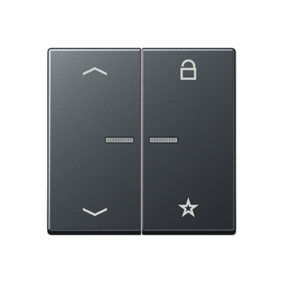 Центральная плата Jung A серия матовый антрацит универсальная «стрелки» для LB вставки «жалюзи» A1701BFPANM