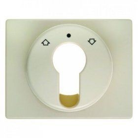 Центральная панель Berker R.1 Berker Arsys белый с блеском для жалюзийного замочного выключателя/кнопки 15040012