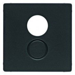 Центральная панель Berker R.1 Berker Q.1 антрацит для розетки к громкоговорителю 11966086