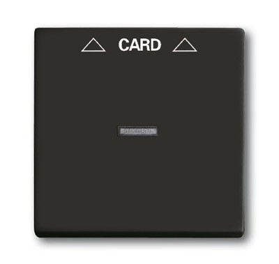 Плата центральная (накладка) ABB Basic 55 chateau-black для механизма карточного выключателя 2025 U 2CKA001710A3933 1792-95-507