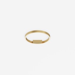 Потолочный светильник Maytoni MOD058CL-L25BSK