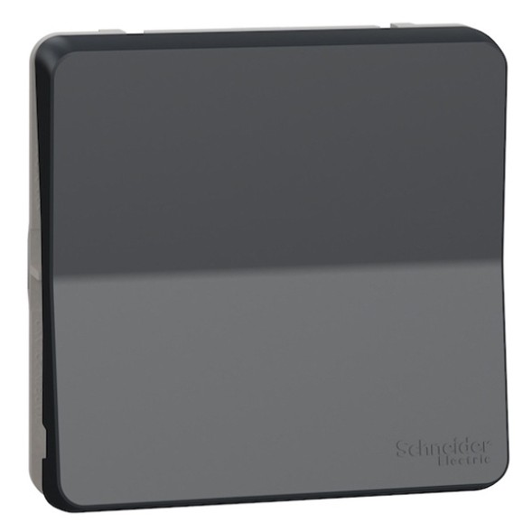 Механизм переключателя Schneider Electric Mureva IP55 Антрацит MUR37021