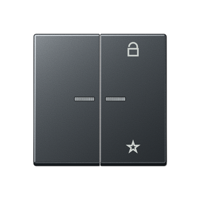 Центральная плата Jung A серия матовый антрацит универсальная для LB вставки «жалюзи» A1701BFANM