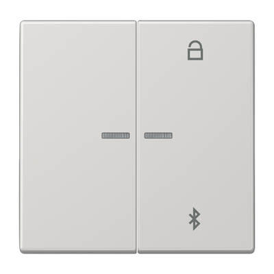 Таймер Jung LS серия светло-серый универсальный Bluetooth LS1751BTLG