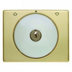 Центральная панель Berker R.1 Berker Arsys золотой/полярная белизна с замком к жалюзийному замочному выключателю 10790402