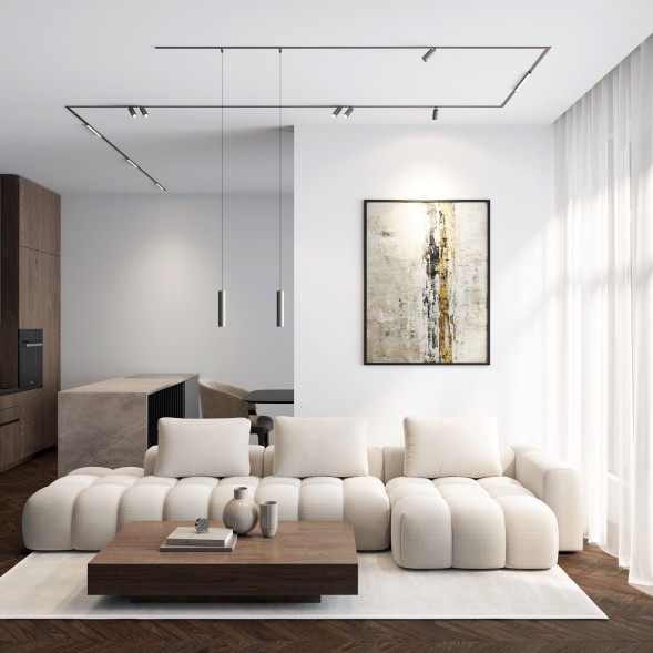 Светильник для трека SHINE SPOT DK5744-DN