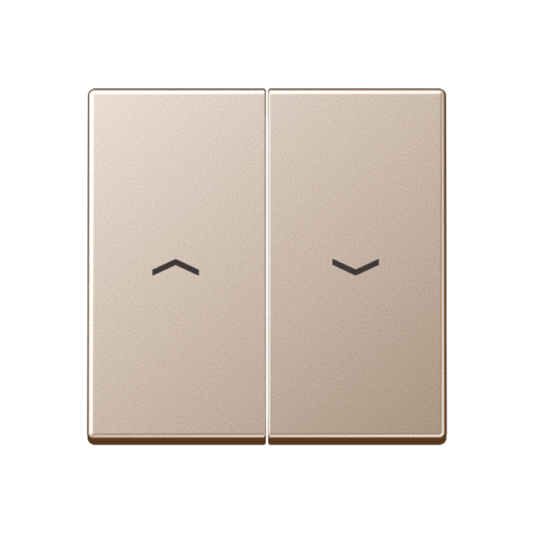 Клавиша для жалюзи Jung A серия Шампань выключателя A595PCH