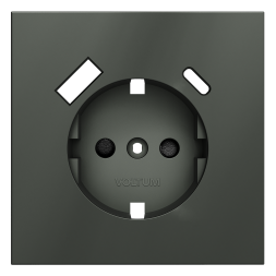 Накладка для розетки с заземлением и защитными шторками, с USB A+C, S70 (титан)