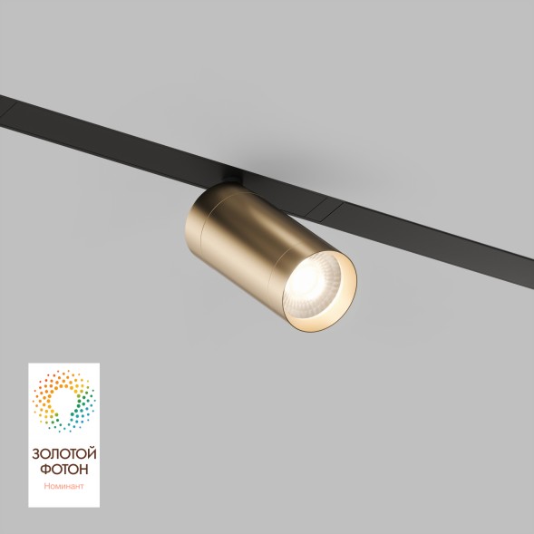 Трековый светильник Denkirs DK8010-BG