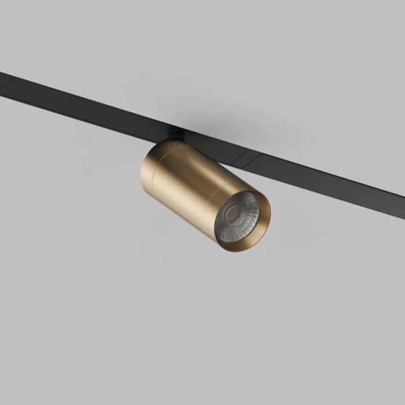 Трековый светильник Denkirs DK8010-BG