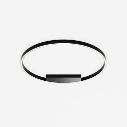 Потолочный светильник Maytoni MOD058CL-L50BK