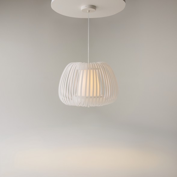 Подвесной светильник Maytoni MOD409PL-01W