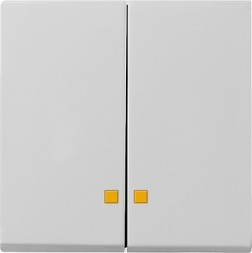 0631015 Накладка двухклавишная с контрольными окнами, серый матовый Gira