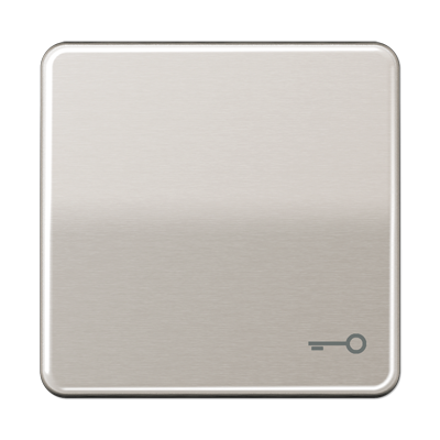 Клавиша Jung CD серия платина 1-я с символом &quot;КЛЮЧ&quot; CD590TPT