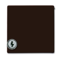 Плита промежуточная ABB Busch-Duro 2000 SI и Reflex SI коричневый с крышкой для центральных плат IP44 2CKA001710A3788 2118 GKSL-31