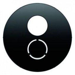 Центральная панель Berker R.1 черная с блеском для розетки к громкоговорителю и вставки малого штекерного соединителя 1-местная 11962045