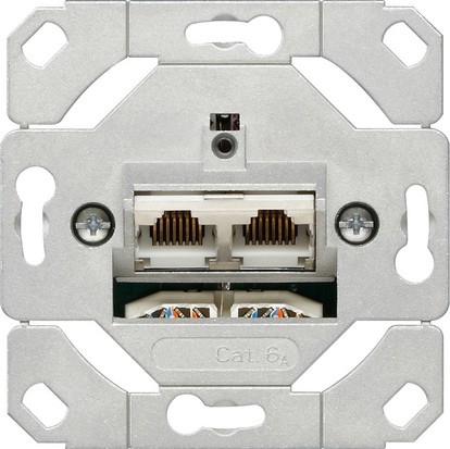 Сетевая розетка Gira 2-местн. Cat.6A IEEE 802.3an Вставка 245200