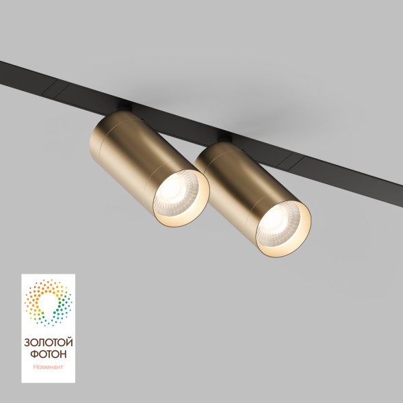 Трековый светильник Denkirs DK8012-BG