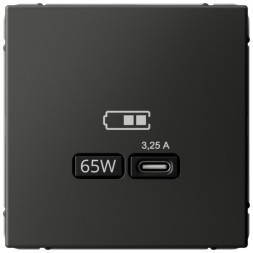 Зарядное устройство USB-C, 65Вт (Базальт) Schneider Electric Systeme Art Gallery GAL001427
