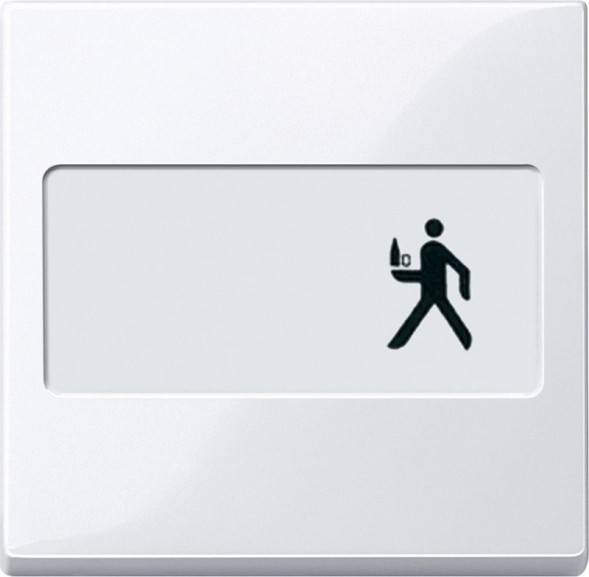 Клавиша Merten M-серия активный белый с полем для надписи MTN432325