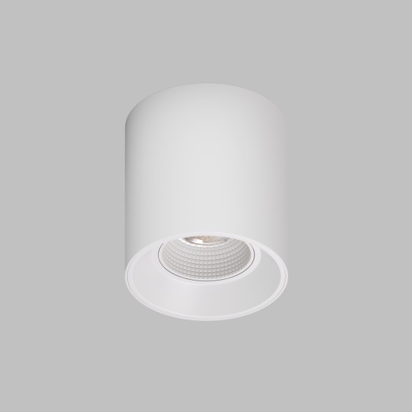 Точечный накладной светильник Denkirs DK3090-WH