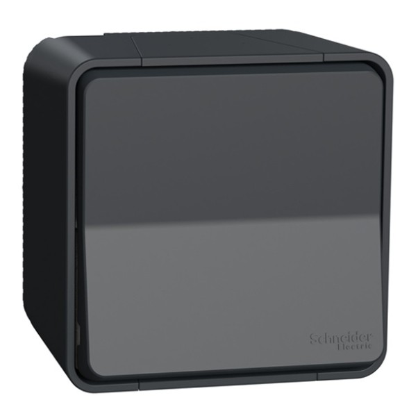 Кнопочный выключатель Schneider Electric IP55 накладной монтаж Mureva Styl Антрацит MUR35026