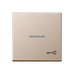 Клавиша для контрольного выключателя со знаком ключ Jung ECO Profi шампань A590KO5TCH