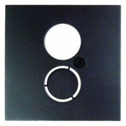 Центральная панель Berker R.1 антрацит, матовый для розетки к громкоговорителю 11961606