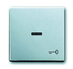 Клавиша ABB Future серебристо-алюминиевый для 1-клавишного выключателя/переключателя/кнопки с прозрачной линзой и символом &quot;КЛЮЧ&quot; 2CKA001751A2953 1789 TR-83