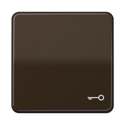 Клавиша Jung CD серия коричневая 1-я с символом &quot;КЛЮЧ&quot; CD590TBR