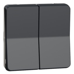 Механизм двухклавишного переключателя Schneider Electric Mureva Styl IP55 Антрацит MUR35019