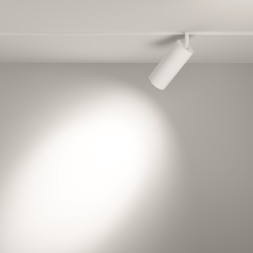 Трековый светильник Technical TR032-2-20W3K-S-W