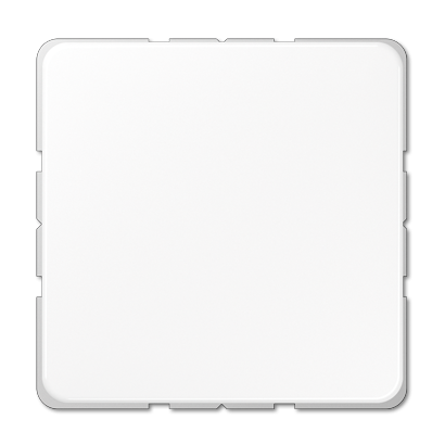 Заглушка Jung CD серия Белый CD594-0WW