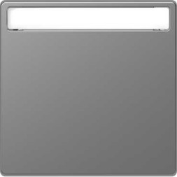 Клавиша Merten D-Life нержавеющая сталь 1-ная с полем для надписи MTN3360-6036