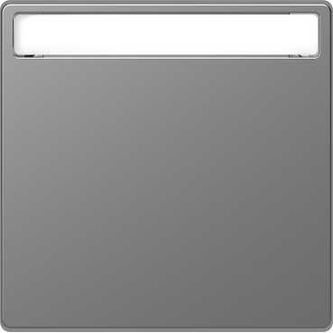 Клавиша Merten D-Life нержавеющая сталь 1-ная с полем для надписи MTN3360-6036