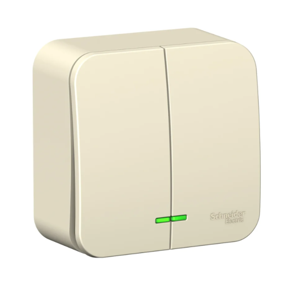 2-клавишный выключатель наружный Schneider Electric молочный Blanca BLNVA105112