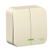 2-клавишный выключатель наружный Schneider Electric молочный Blanca BLNVA105112