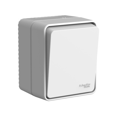 ATN543015 Atlasdesign PROFI IP54 О/У 1-клавишный ВЫКЛЮЧАТЕЛЬ с самовозвратом 10 АХ, СЕРЫЙ Schneider Electric