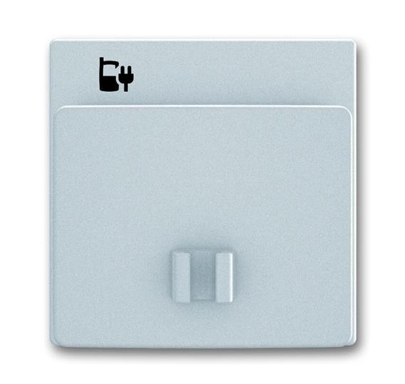 Плата центральная (накладка) ABB Allwetter 44 сталь для блока питания micro USB 2CKA006400A0031 6478-866-500