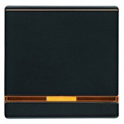 Клавиша выключателя с линзой Berker Q.1 16966086