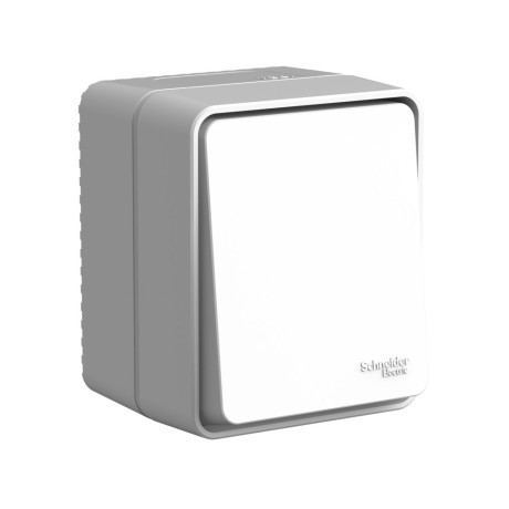ATN543061 Atlasdesign PROFI IP54 О/У 1-клавишный ПЕРЕКЛЮЧАТЕЛЬ 10 АХ, СЕРЫЙ Schneider Electric