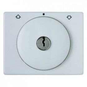 Центральная панель Berker R.1 Berker Arsys полярная белизна с блеском с замком к жалюзийному замочному выключателю 10790069