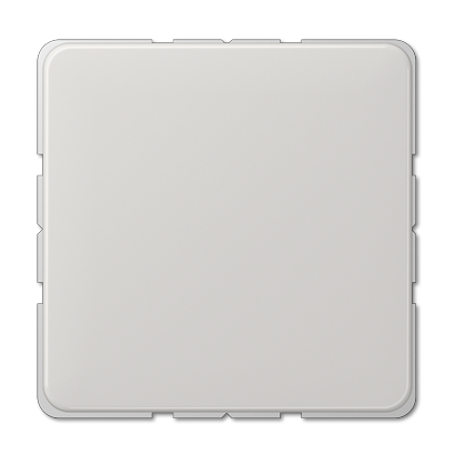 Заглушка Jung CD серия Светло-серая CD594-0LG